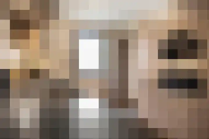 Lloydkade 527 Rotterdam thumbnail 61