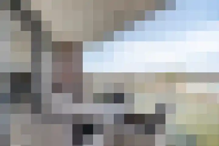 Lloydkade 733 Rotterdam thumbnail 13