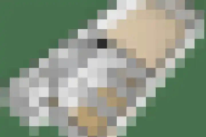 Lloydkade 799 Rotterdam thumbnail 42