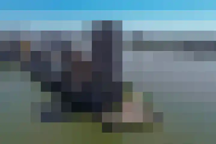 Lloydkade 799 Rotterdam thumbnail 6