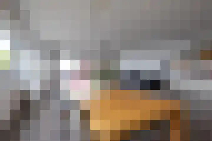 Lloydkade 849 Rotterdam thumbnail 11