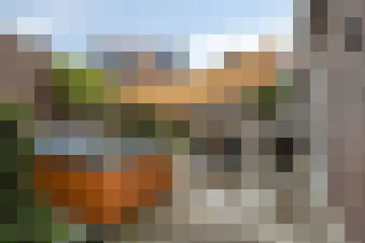 Lobbenhoeve 2 Helmond thumbnail 37