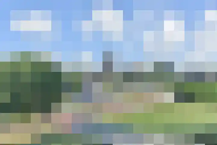 Lobelia 4 Nootdorp thumbnail 45