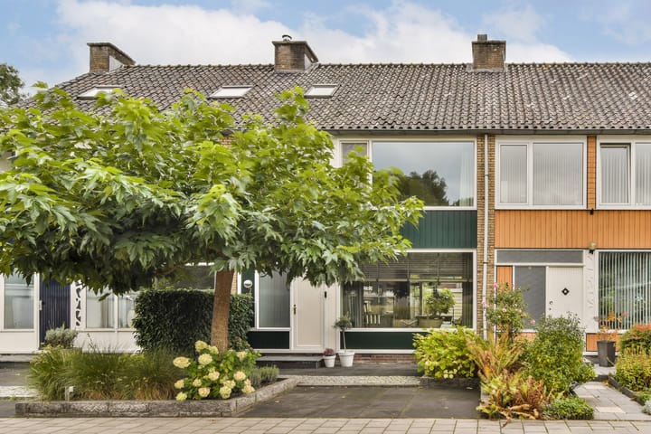 Lobelia 7 in Dordrecht foto