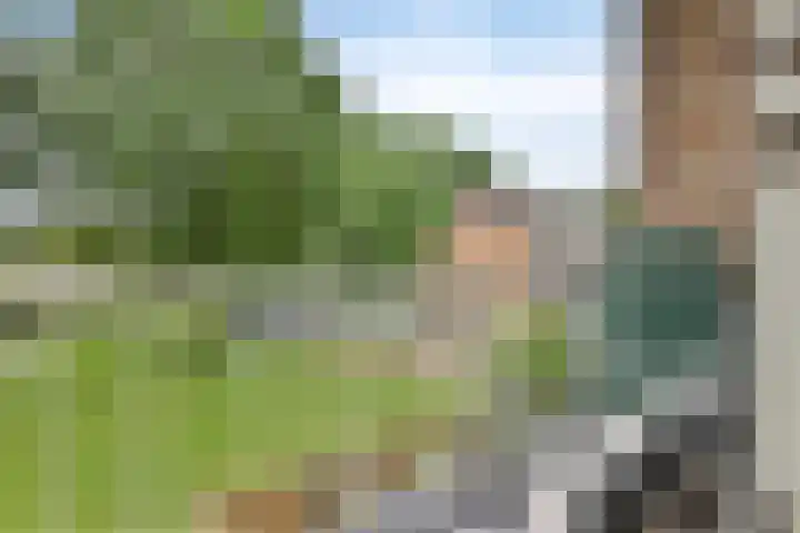 Lobeliaplein 3 A Spijkenisse thumbnail 14