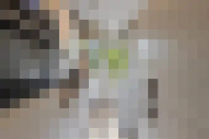 Lobeliaplein 3 A Spijkenisse thumbnail 15