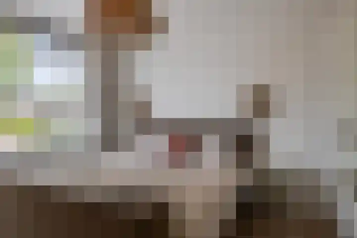 Lobeliaplein 3 A Spijkenisse thumbnail 21