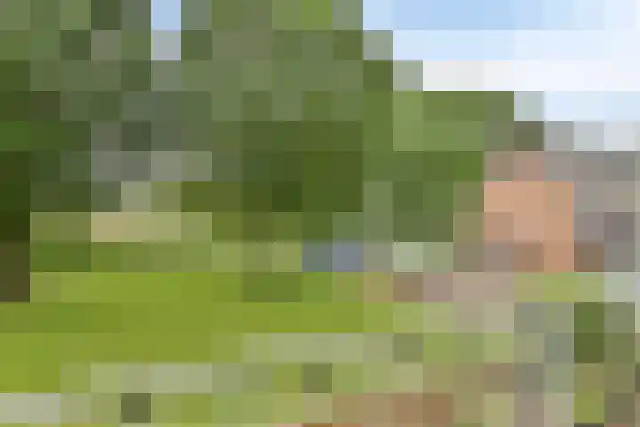 Lobeliaplein 3 A Spijkenisse thumbnail 4
