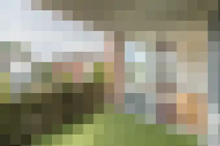 Lobeliastraat 35 Barneveld thumbnail 11