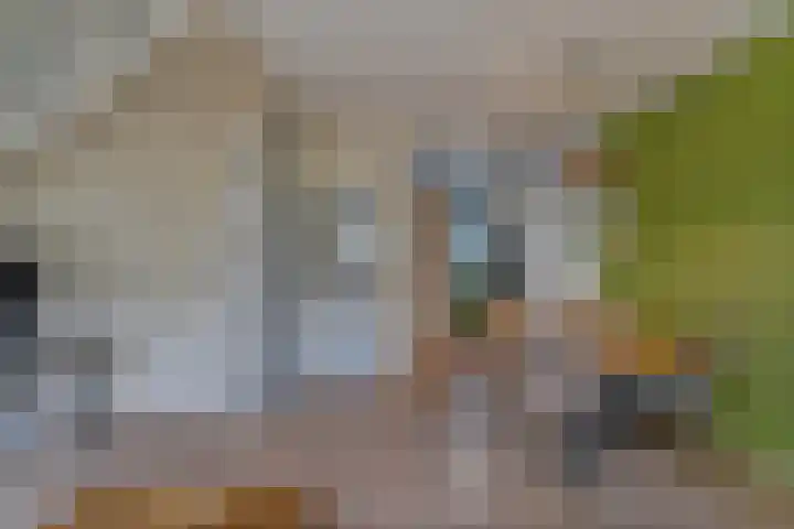 Lobeliusstraat 11 Zaandam thumbnail 11