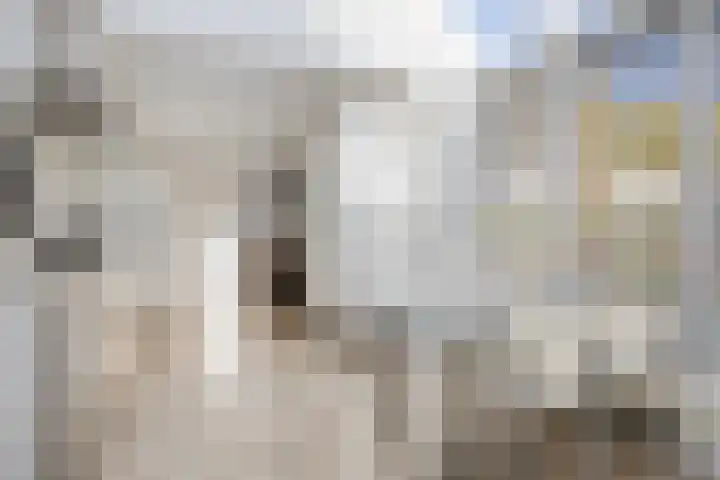 Lobroec 16 Nuenen thumbnail 18