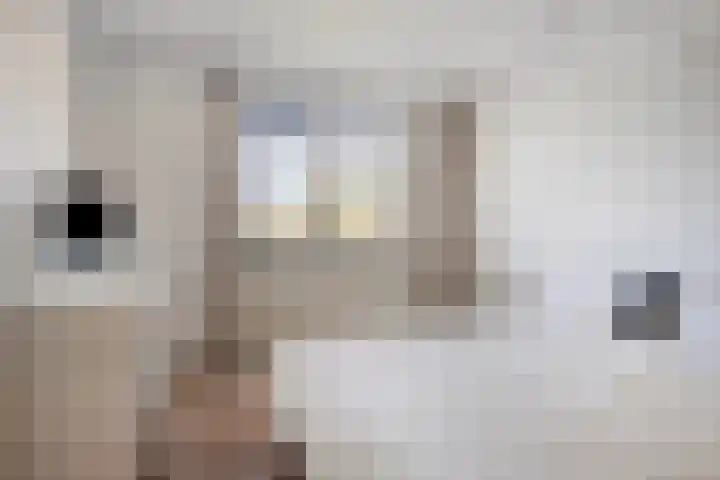 Lobroec 16 Nuenen thumbnail 20