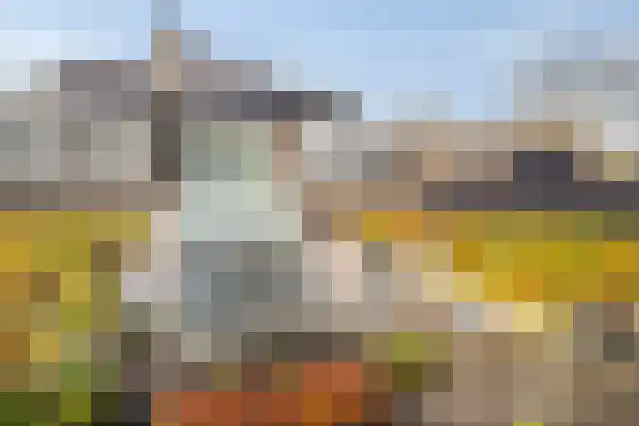 Lobroec 16 Nuenen thumbnail 39