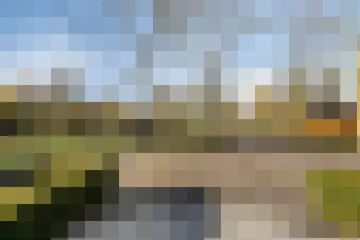 Lobroec 16 Nuenen thumbnail 48