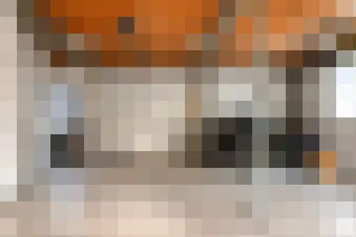 Lobroec 16 Nuenen thumbnail 53