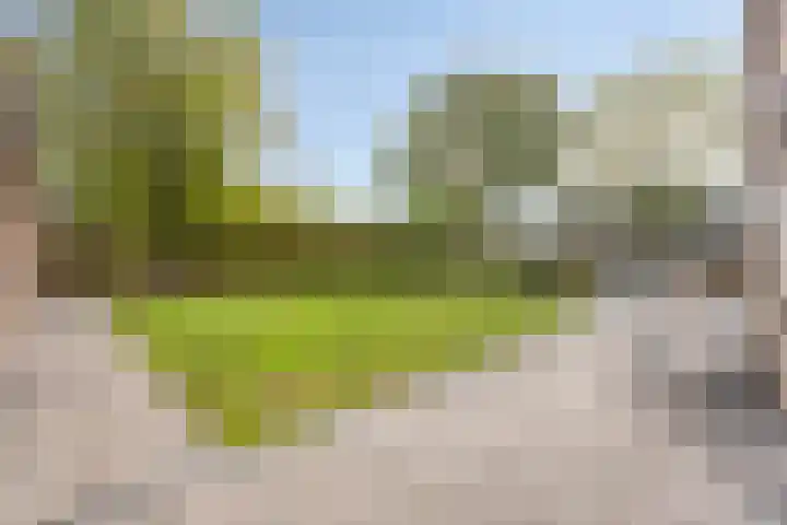 Lobroec 2 Nuenen thumbnail 26