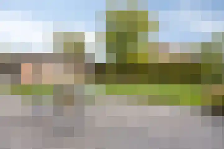 Lobroec 2 Nuenen thumbnail 27