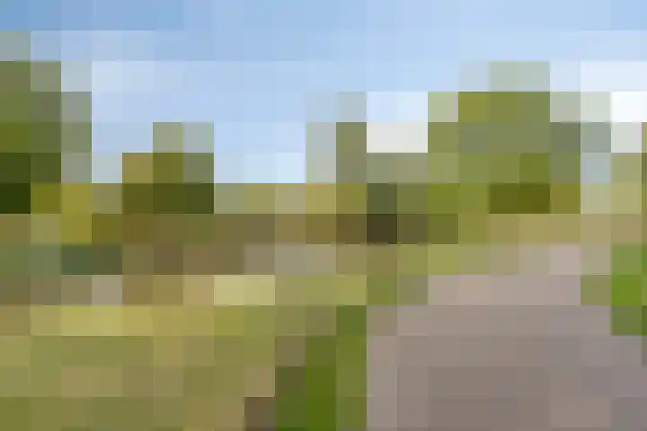 Lobroec 2 Nuenen thumbnail 32
