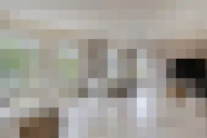 Lobroec 2 Nuenen thumbnail 7