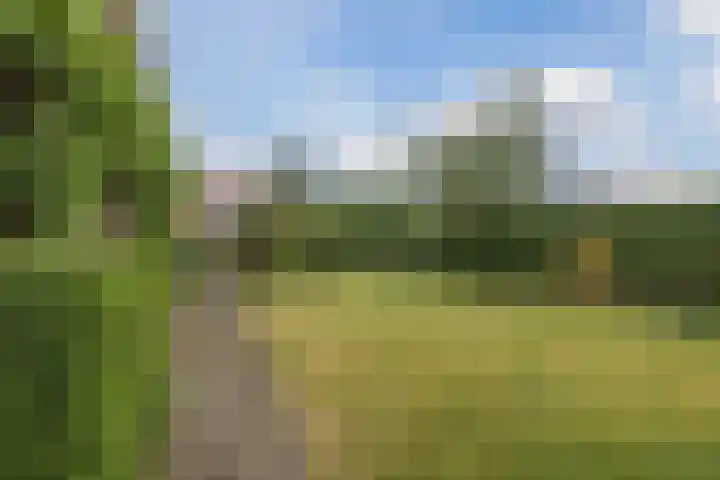 Lockhorstlaan 13 Warmond thumbnail 20