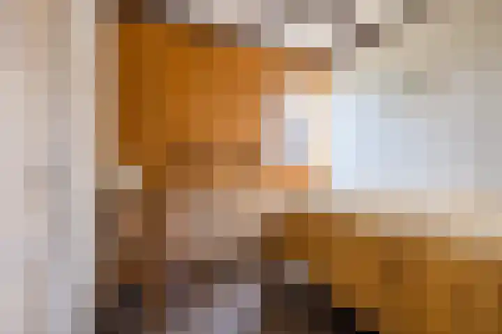 Lockhorstlaan 13 Warmond thumbnail 35