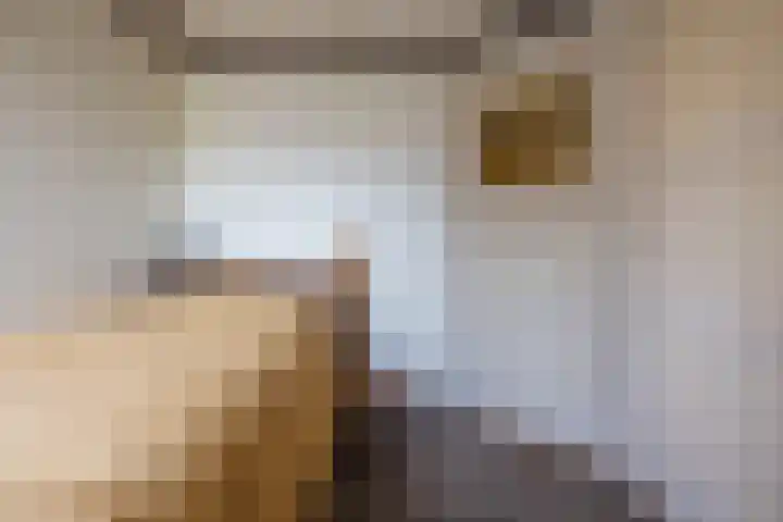 Lockhorstlaan 13 Warmond thumbnail 36