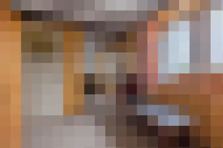 Lockhorstlaan 13 Warmond thumbnail 37