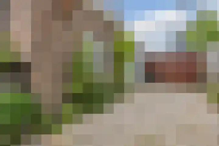 Lockhorstlaan 13 Warmond thumbnail 47