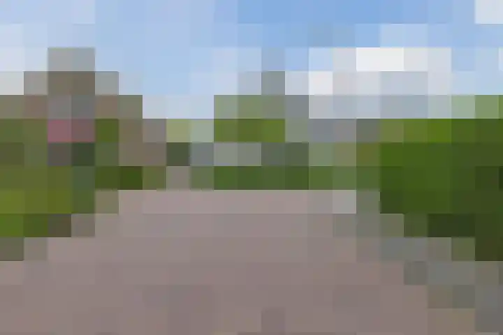 Lockhorstlaan 13 Warmond thumbnail 53