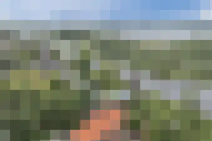 Lockhorstlaan 13 Warmond thumbnail 54
