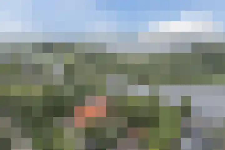 Lockhorstlaan 13 Warmond thumbnail 55