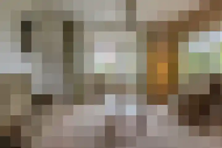 Lockhorstlaan 13 Warmond thumbnail 8