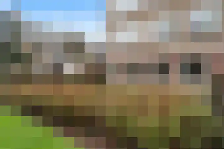 Loderlaan 77 Utrecht thumbnail 4