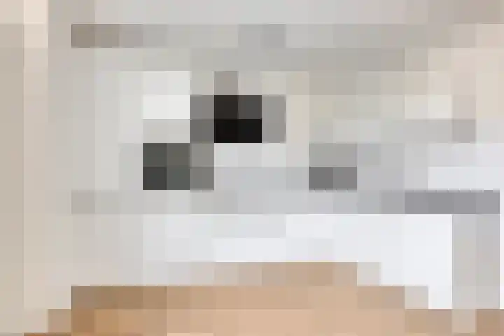 Loeffendijk 13 Middenbeemster thumbnail 10