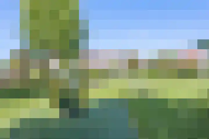 Loeffendijk 13 Middenbeemster thumbnail 38