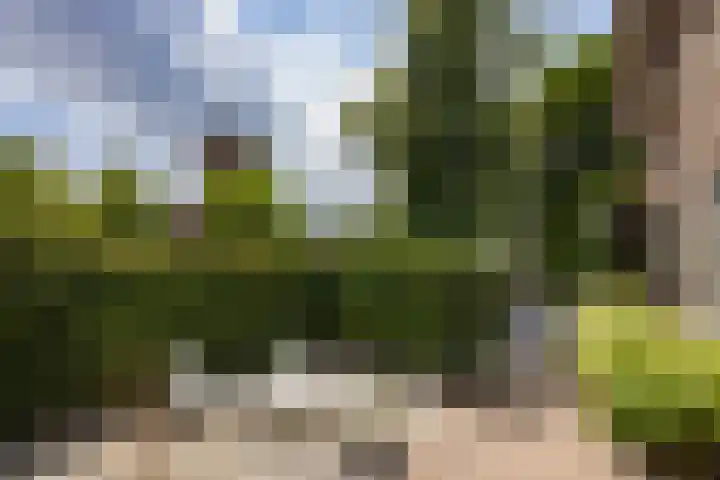 Loeffplein 2 Vught thumbnail 50