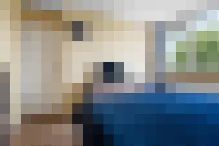 Loenerdrift 21 Loenen thumbnail 20