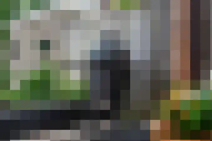 Loenerdrift 21 Loenen thumbnail 37