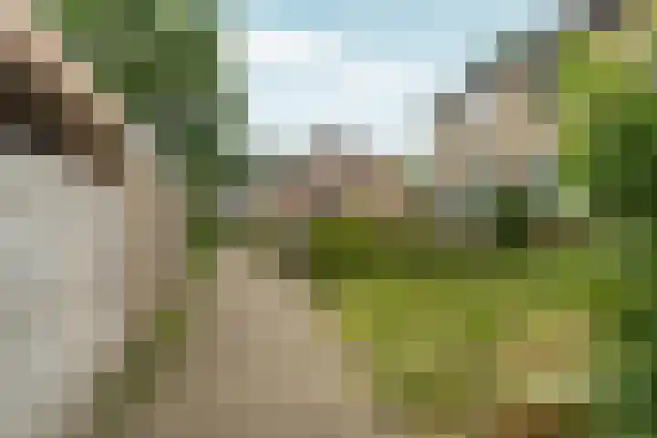 Loenerdrift 21 Loenen thumbnail 44