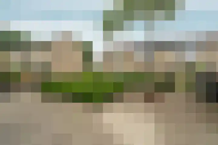Loenerdrift 21 Loenen thumbnail 46