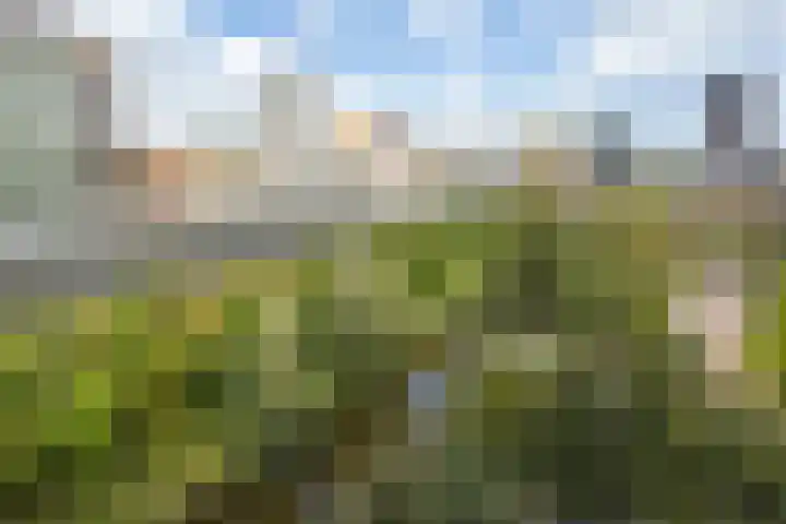 Loenermark 599 Amsterdam thumbnail 31
