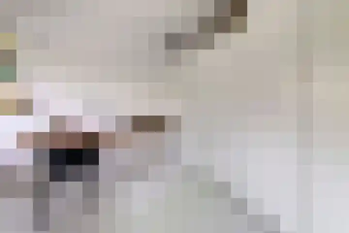 Loenermark 84 Amsterdam thumbnail 10