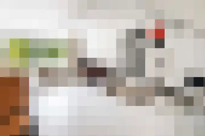 Loenermark 84 Amsterdam thumbnail 18