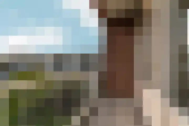 Loevestein 122 Amsterdam thumbnail 19