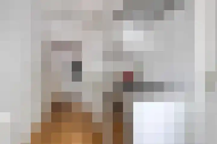 Loevestein 123 Amsterdam thumbnail 12