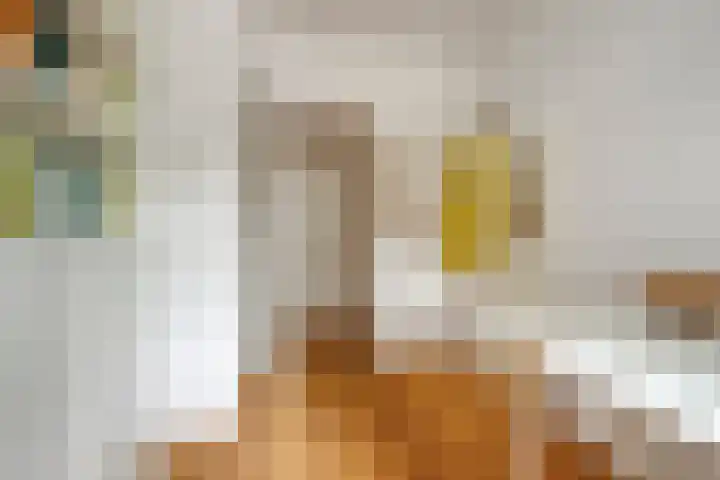 Loevestein 123 Amsterdam thumbnail 21