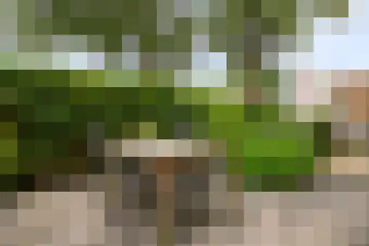 Loevestein 123 Amsterdam thumbnail 23
