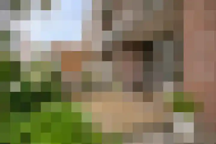 Loevestein 123 Amsterdam thumbnail 41
