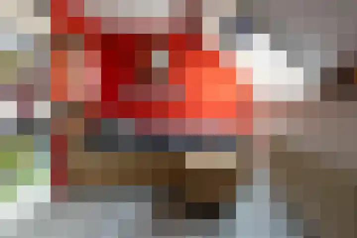 Loevestein 4 Ede thumbnail 23