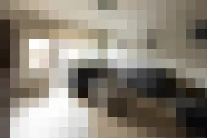 Loevestein 4 Ede thumbnail 7